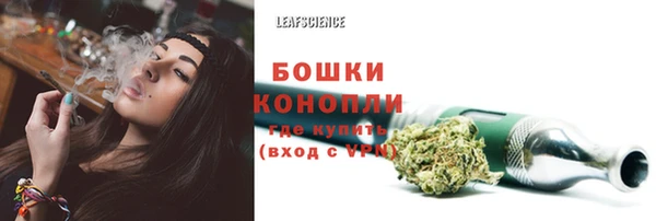 гидропоника Карталы
